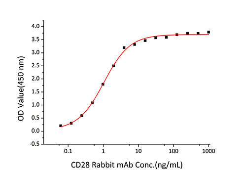Recombinant Human/Cynomolgus/Rhesus macaque CD28 Protein