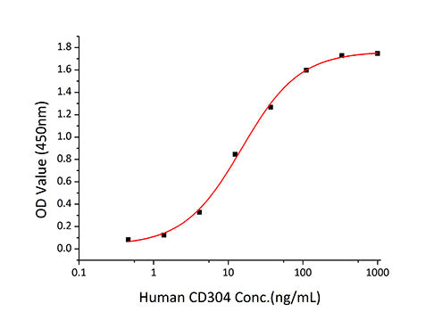 Recombinant Human Neuropilin-1/NRP1/VEGF165R/CD304 Protein
