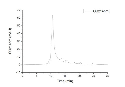Recombinant Human IGFBP-6 Protein