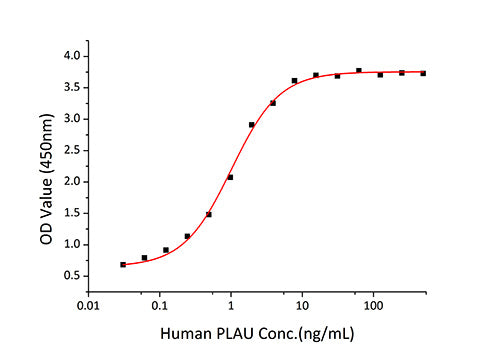 Recombinant Human uPA/PLAU Protein