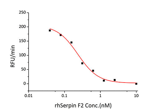 Recombinant Human Serpin F2/Alpha-2-antiplasmin Protein