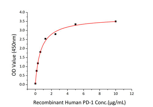 Recombinant Human B7-DC/PD-L2/CD273 Protein