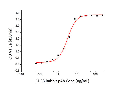 Recombinant Human CD38 Protein