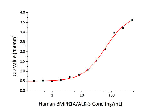 Recombinant Human Activin RIIB/ACVR2B Protein