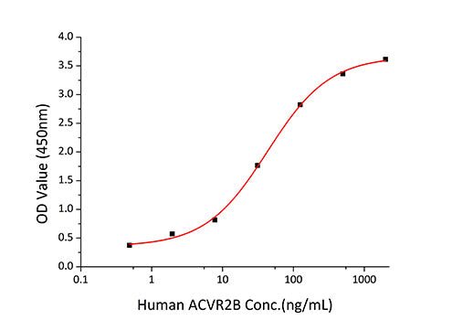 Recombinant Human Activin RIIB/ACVR2B Protein