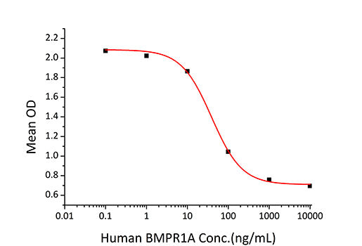 Recombinant Human BMPR-1A/ALK-3/CD292 Protein