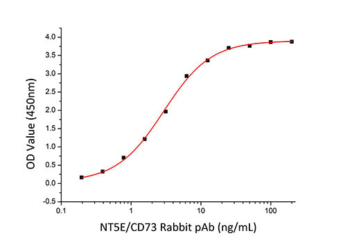 Recombinant Human5'-Nucleotidase/NT5E/CD73 Protein