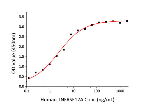 Recombinant Human TNFRSF12A/TWEAKR/CD266 Protein