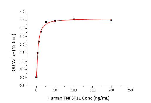 Recombinant Human TNFRSF11B/Osteoprotegerin Protein