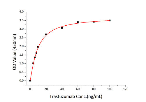 Recombinant Human ErbB-2/HER2/CD340 Protein