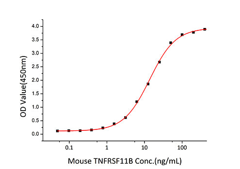 Recombinant Human TNFSF11/RANKL/CD254 Protein