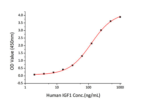 Recombinant Human IGFBP-4 Protein