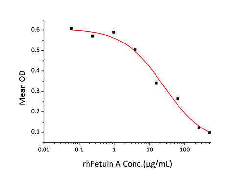 Recombinant Human Fetuin A/AHSG Protein