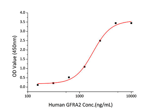 Recombinant Human GDNFR-alpha-2/GFRA2 Protein