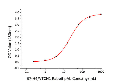 Recombinant Human B7-H4/VTCN1 Protein