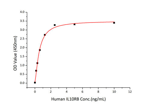 Recombinant Human IFN-lambda 3/IL-28B Protein