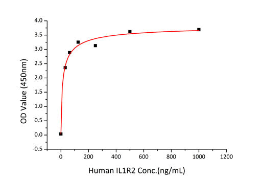 Recombinant Human IL-1R2/CD121b Protein