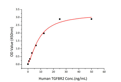 Recombinant Human TGF-beta receptor type-2/TGFR-2 Protein