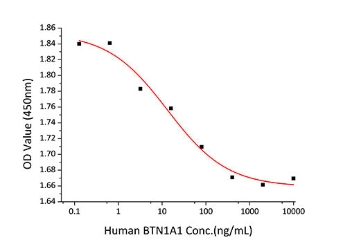 Recombinant Human BTN1A1/Butyrophilin Protein