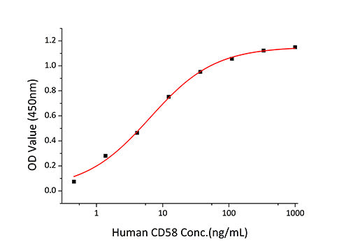 Recombinant Human LFA-3/CD58 Protein