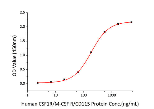 Recombinant Human CSF1R/M-CSF R/CD115 Protein