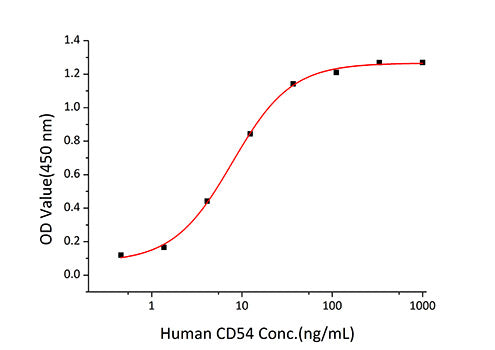 Recombinant Human ICAM-1/CD54 Protein