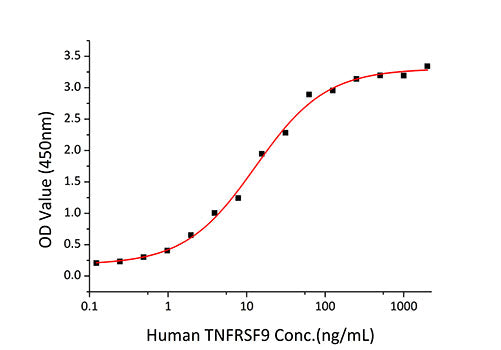 Recombinant Human TNFRSF9/4-1BB/CD137 Protein
