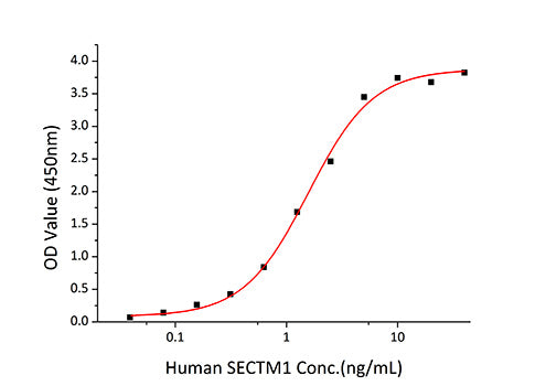 Recombinant Human SECTM1 Protein