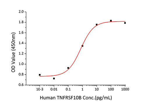 Recombinant Human TNFRSF10B/DR5/TRAIL-R2/CD262 Protein