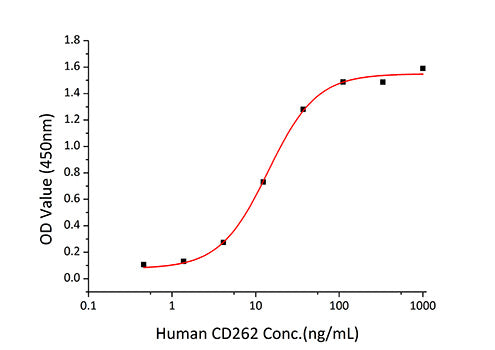 Recombinant Human TNFRSF10B/DR5/TRAIL-R2/CD262 Protein