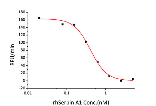 Recombinant Human Serpin A1/Alpha-1-antitrypsin Protein