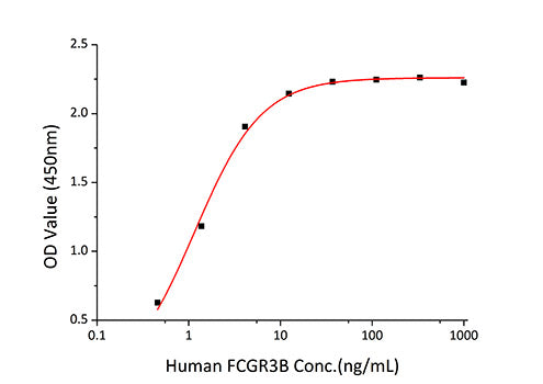 Recombinant Human Fc-gamma RIII beta/FCGR3B/CD16b Protein