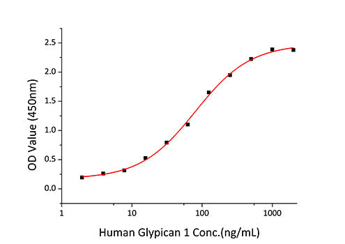 Recombinant Human Glypican-1/GPC1 Protein