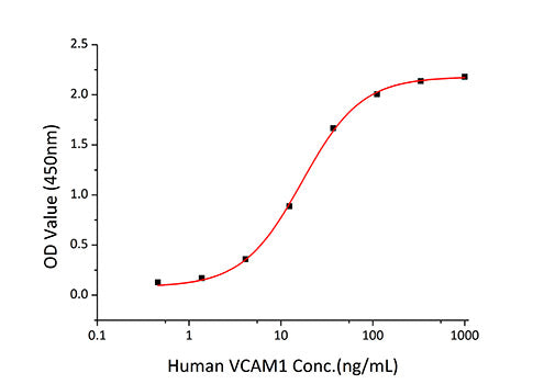 Recombinant Human VCAM-1/CD106 Protein