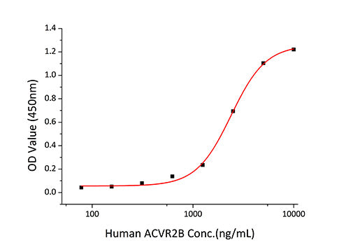 Recombinant Human ALK-1/ACVRL1 Protein