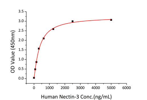 Recombinant Human Nectin-3/PVRL3/CD113 Protein
