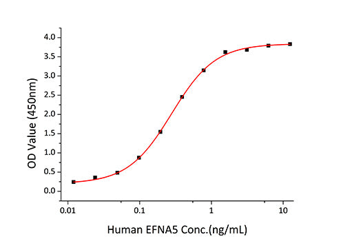 Recombinant Human EphA3 Protein