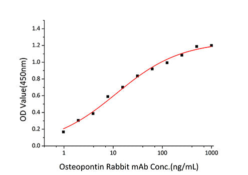 Recombinant Human Osteopontin/SPP-1 Protein