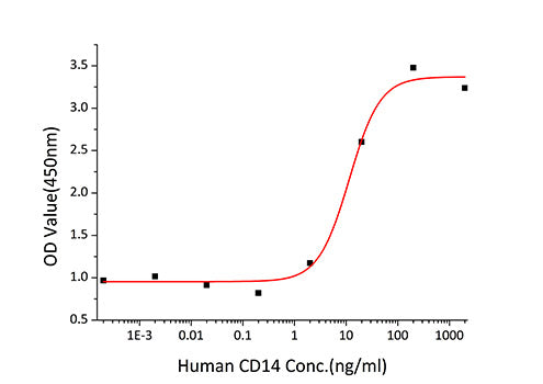 Recombinant Human CD14 Protein