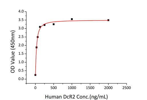 Recombinant Human TNFRSF10D/DcR2/TRAIL-R4/CD264 Protein