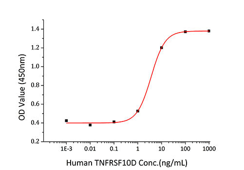 Recombinant Human TNFRSF10D/DcR2/TRAIL-R4/CD264 Protein
