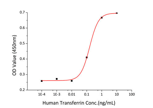 Recombinant Human Transferrin/TF Protein
