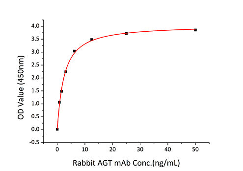 Recombinant Human Angiotensinogen/AGT Protein