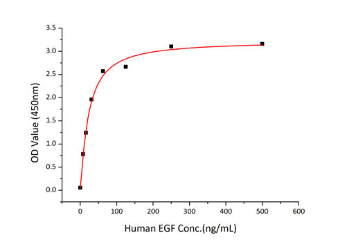 Recombinant Human EGF Protein