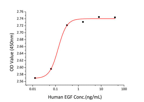 Recombinant Human EGF Protein
