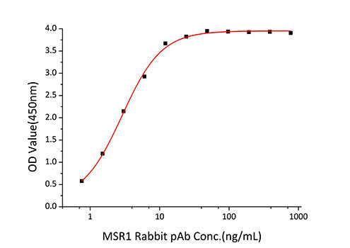 Recombinant Human MSR1/CD204 Protein