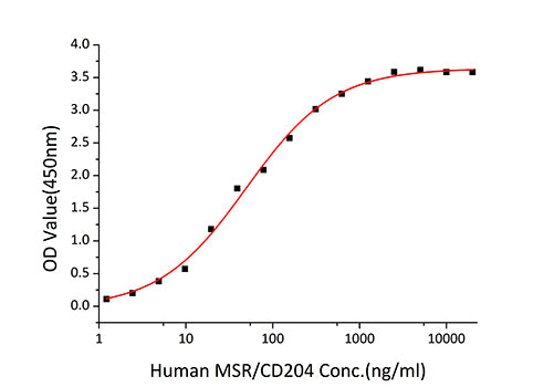 Recombinant Human MSR1/CD204 Protein
