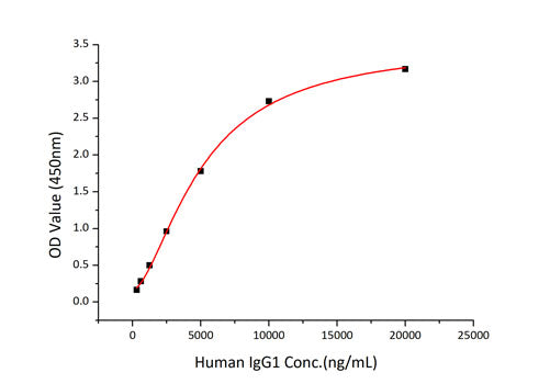 Recombinant Human FcRn/FCGRT&B2M Protein