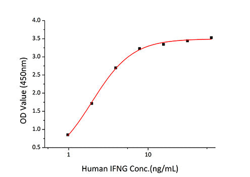 Recombinant Human IFN-gamma Protein