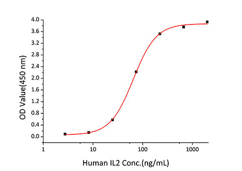 Recombinant Human IL-2 Protein
